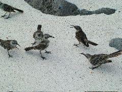 DSCF1819.JPG
