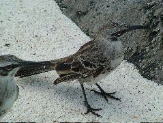 DSCF1822.JPG