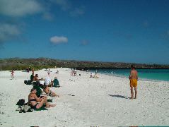 DSCF1837.JPG