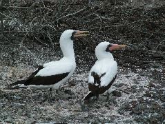DSCF1227.JPG