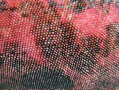 DSCF1899.JPG