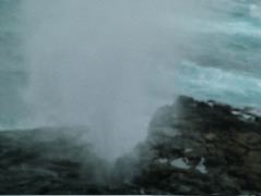 DSCF1914.JPG