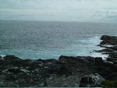 DSCF1920.JPG