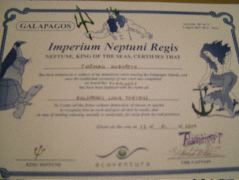 DSCF1953.JPG