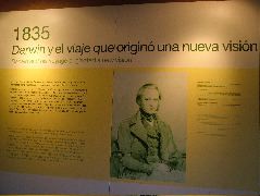 DSCF1959.JPG