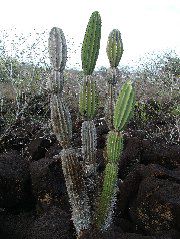 DSCF1964.JPG