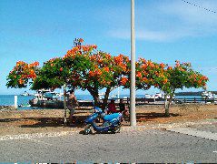 DSCF1969.JPG