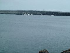 DSCF1243.JPG