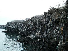 DSCF1244.JPG
