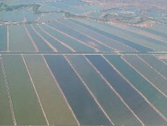 DSCF1171.JPG