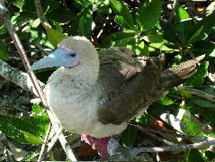 DSCF1258.JPG