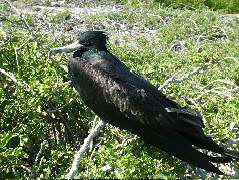 DSCF1265.JPG