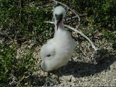 DSCF1270.JPG