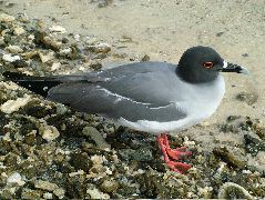 DSCF1275.JPG