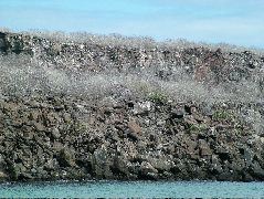 DSCF1284.JPG