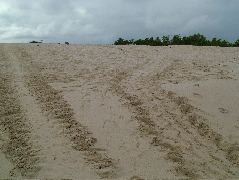 DSCF1288.JPG
