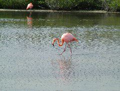 DSCF1298.JPG