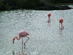 DSCF1303.JPG