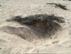DSCF1307.JPG