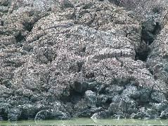 DSCF1317.JPG