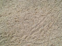 DSCF1322.JPG
