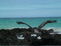 DSCF1329.JPG
