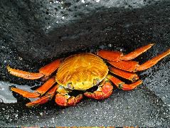 DSCF1335.JPG