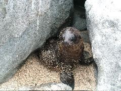 DSCF1346.JPG