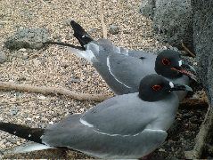DSCF1347.JPG
