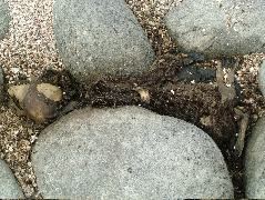 DSCF1359.JPG