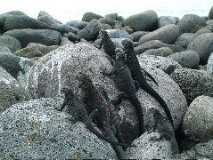 DSCF1362.JPG
