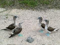 DSCF1367.JPG
