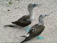DSCF1368.JPG