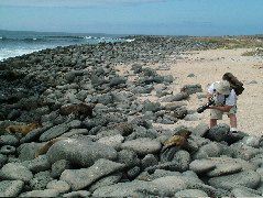 DSCF1378.JPG