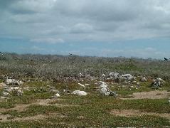 DSCF1387.JPG