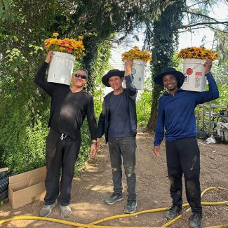 Farm workers with harvested flowers