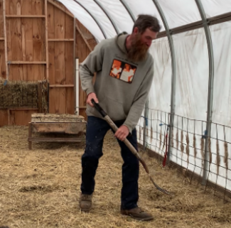Person using a pitchfork in a high tunnel