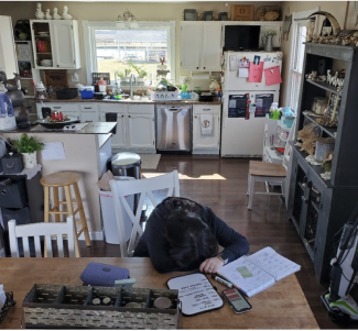 farm woman in kitchen