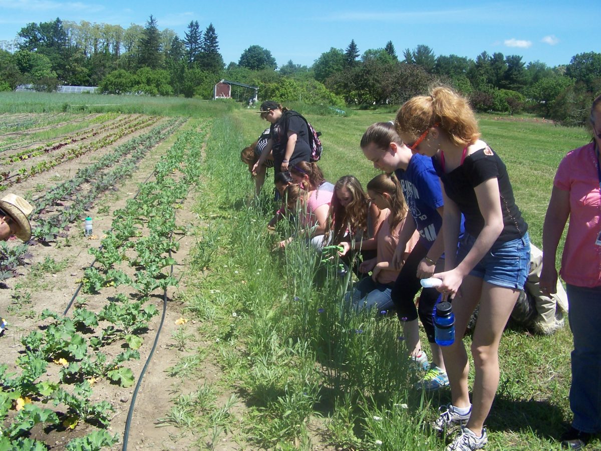 New Course Alert! PSS 312: Ecological Foundations of Agroecology