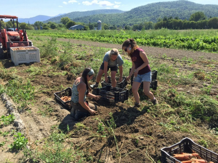 ALC Awarded EPI Grant