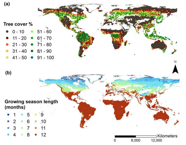 New Article: Climate seasonality, fire and global patterns of tree cover
