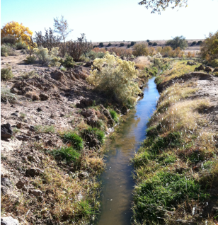 BLOG: Querencia y Comida: Nuevomexicanx Tradition as a Model for Food Resilience