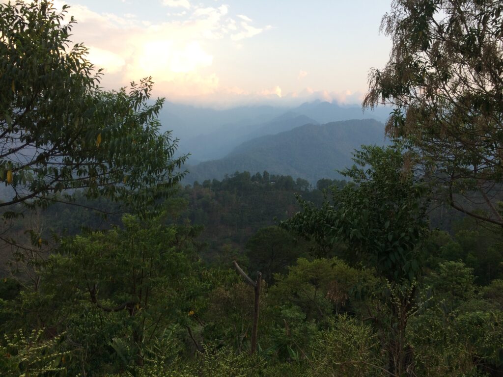 A diverse shade-coffee agroforestry system in Concepción Pinada, Chiapas, Mexico. Photo: Janica Anderzén