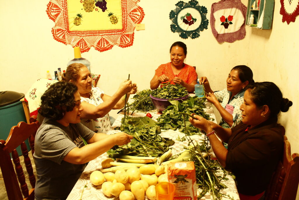 Women cooking traditional food with local ingredients in Laguna del Cofre, Mexico, as part of the activities of a learning exchange among farmers and research partners from Mexico, Nicaragua, and the US (2019). Photo: Alejandra Guzmán Luna