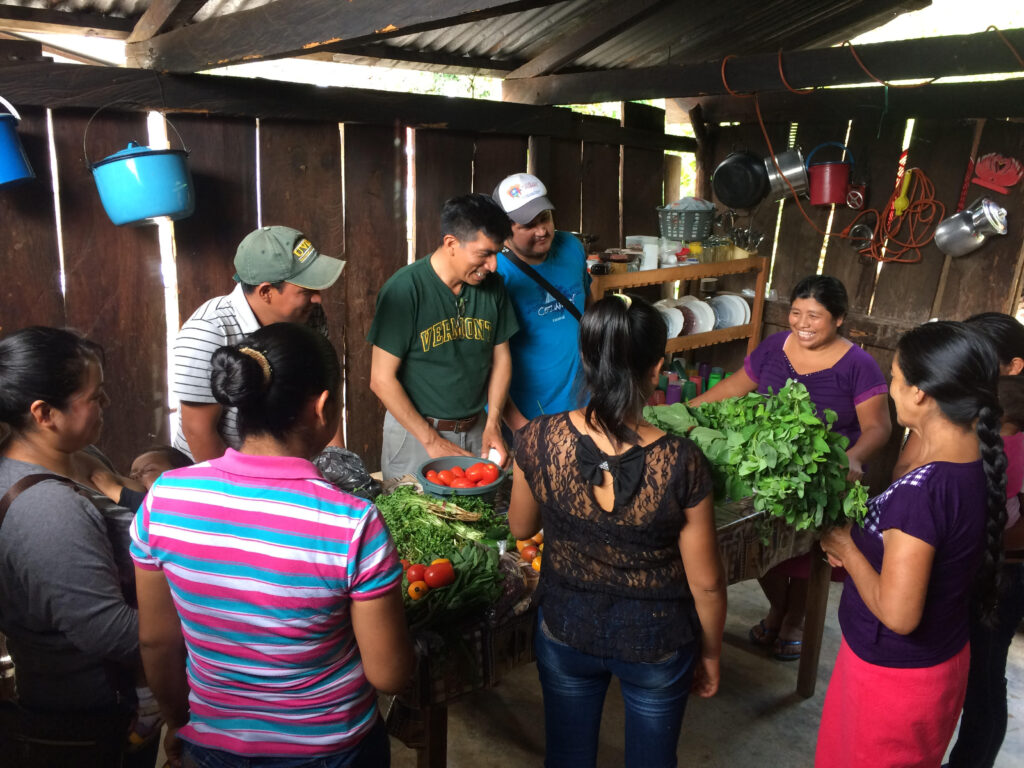 A focus group around the uses and benefits of wild foods in Zapata, Chiapas, Mexico (2018). Photo: Janica Anderzén