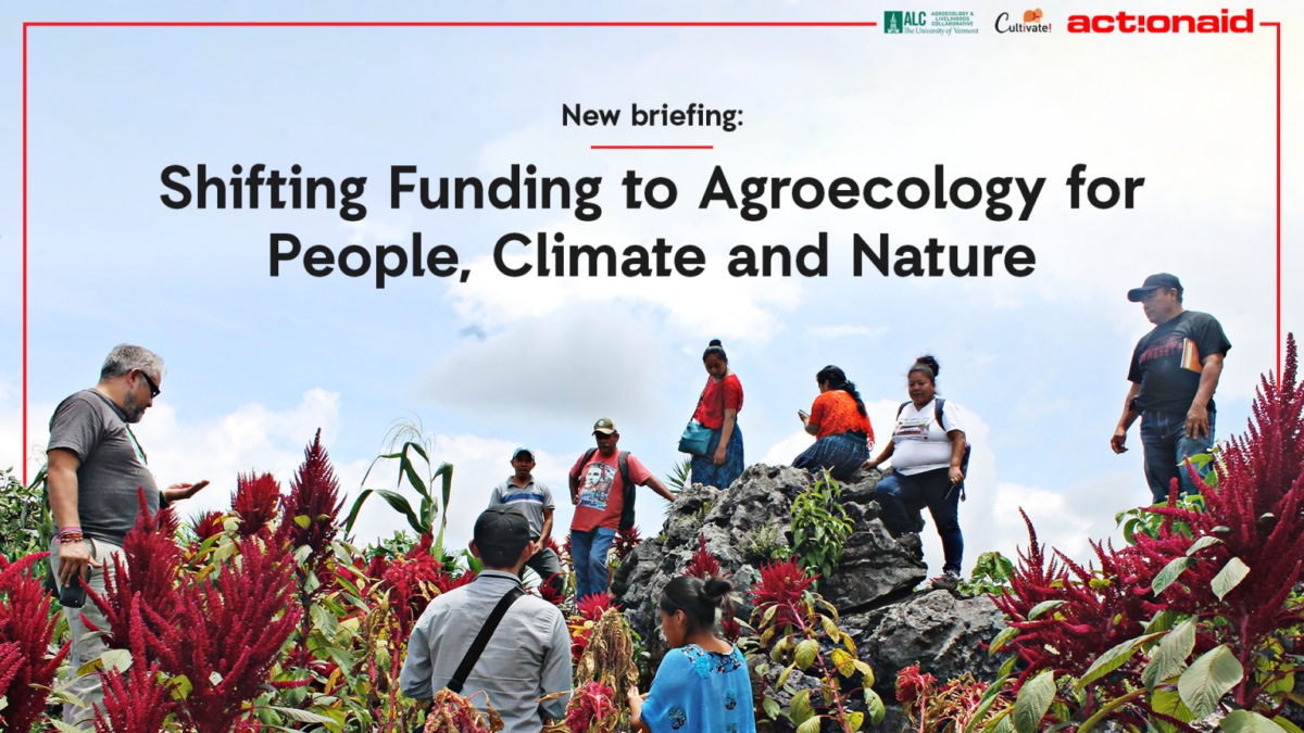 - Agroecology and Collaborative (ALC)