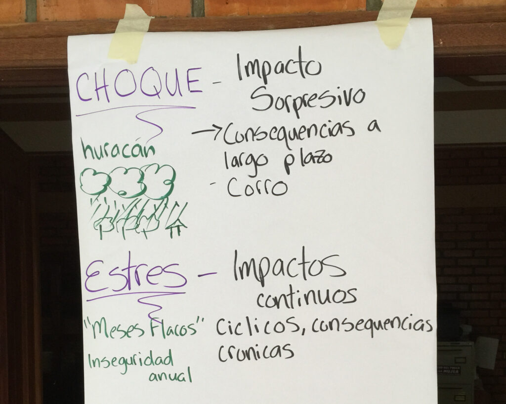 notes cropped