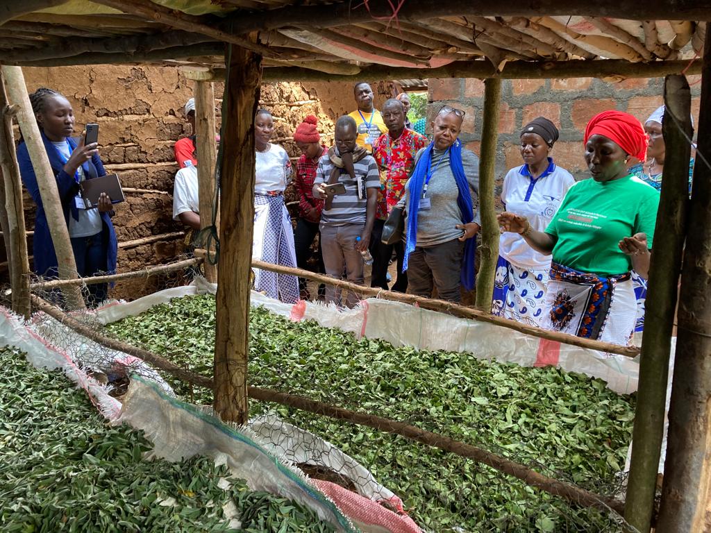 East African woman farmer shares knowledge on botanicals for coffee production