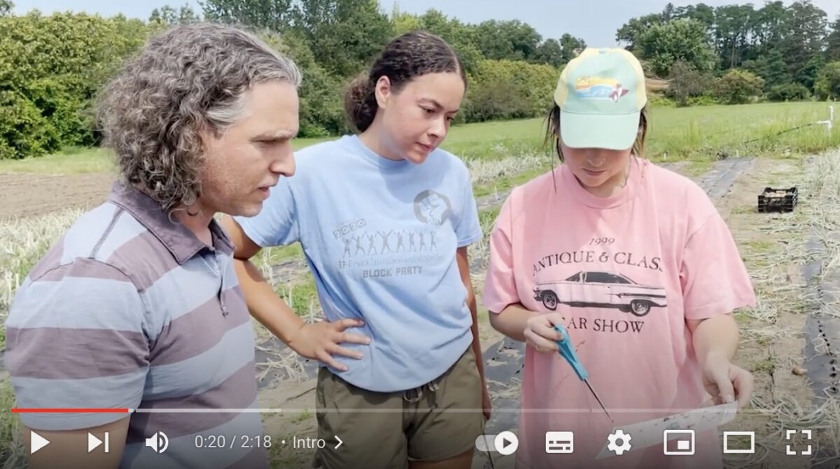 Now Accepting Applications for the 2023 Agroecology Extension Summer Research Fellows Program