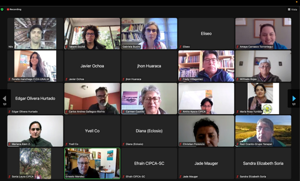 Screenshot of participants engaging in online workshop